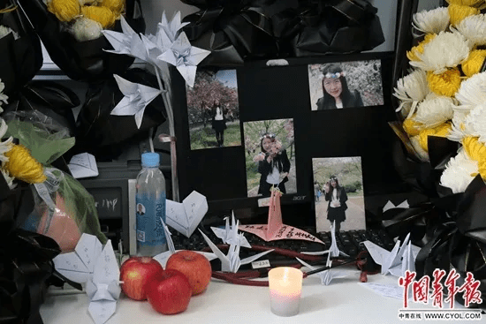 中国青年报：她没等到樱花开